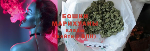 молекула духа Белоозёрский