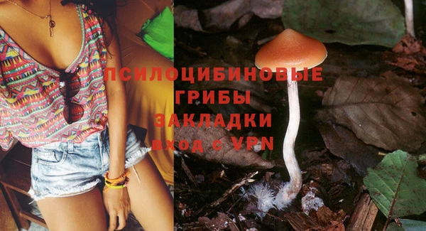 молекула духа Белоозёрский