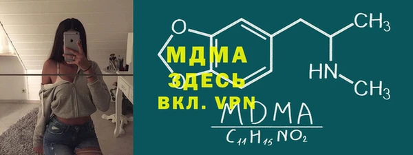 индика Сатка